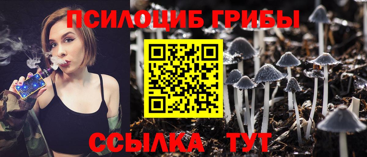 Галлюциногенные грибы Magic Shrooms Кунгур